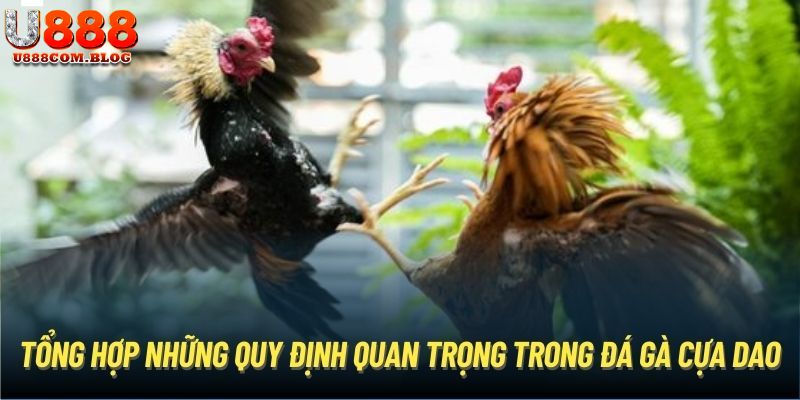 Luật chơi, quy định tại đá gà U888